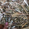 500 x Rye & Clover & Oaten Hay Small Square Bales Hay