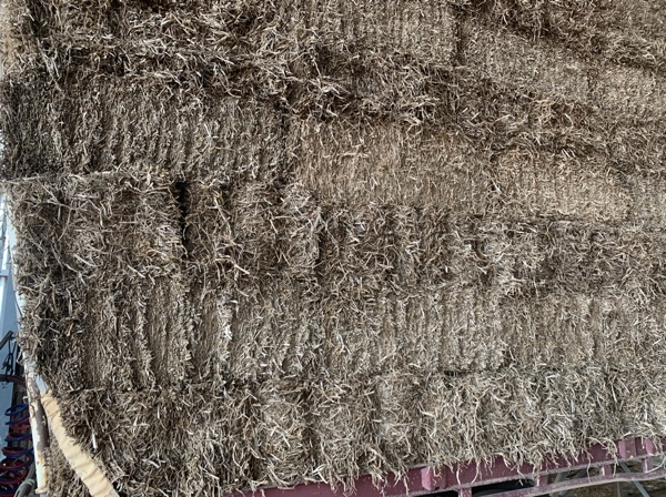 Pea straw - little squares