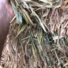 Wheaten Hay