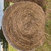 38 X 4ft Round Pasture Bales
