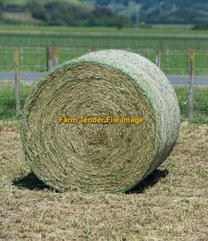 WANTED 2nd cut Clean Lucerne Hay 