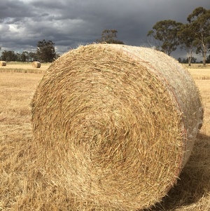 100 x Oaten & Rye Hay 5x4 Bales