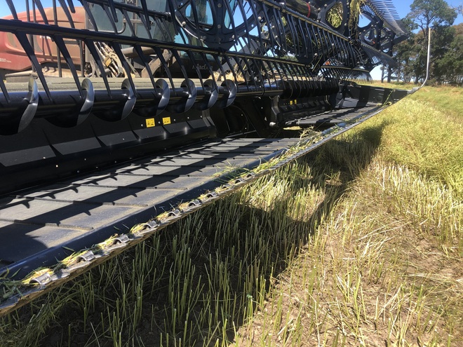 Macdon M155 Windrower with D65 Front