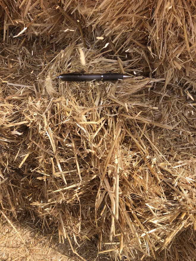 Barley Straw 400kg 8x4x3 Bales