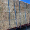 Oaten Hay