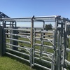 Used Arrow Cattle Yards approx. 60-70 Head
