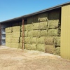 Shedded Lucerne Hay