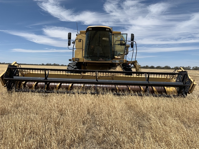 New Holland TX 64 Header / Harvester For Sale