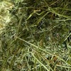 Lucerne & Teff / Lucerne Mix Small Squares