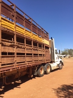Freightliner Truck and Stock Trailer