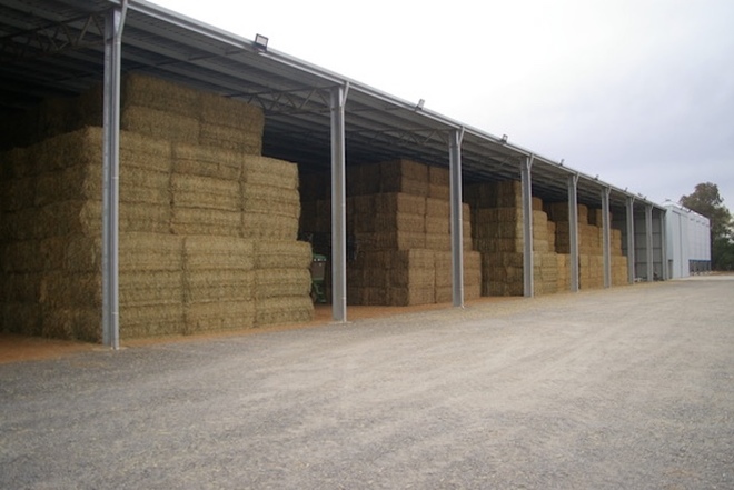 Wheaten & Canola Hay  8x3x4 HD