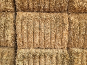 Barley straw 580kg bale Av.
