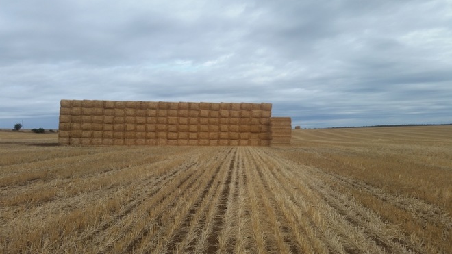 Header Trailed Oaten Straw 417 - 8x4x3 bales 550kg + - Sold By The Ton -