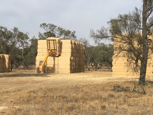160mt Wheaten Straw 450kg 8x4x3 Bales