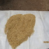 SEED Swan OATS