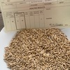 Yallara seed oats for sale