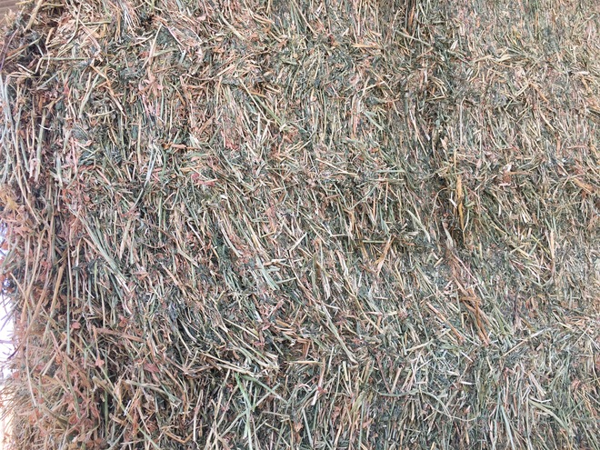 Lucerne Hay 1 x B Double Load