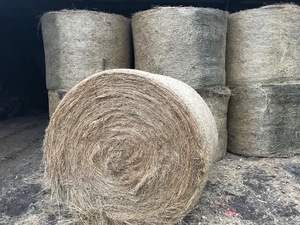 Round Pasture Hay
