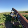  Yeomans 50 ft tubeveyor