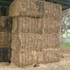 24 x Oaten Hay 8x4x3 Bales