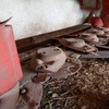 KUHN 280 Disc Mower for Sale, AS NEW!!!