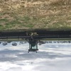 1999 Macdon 9300 Windrower
