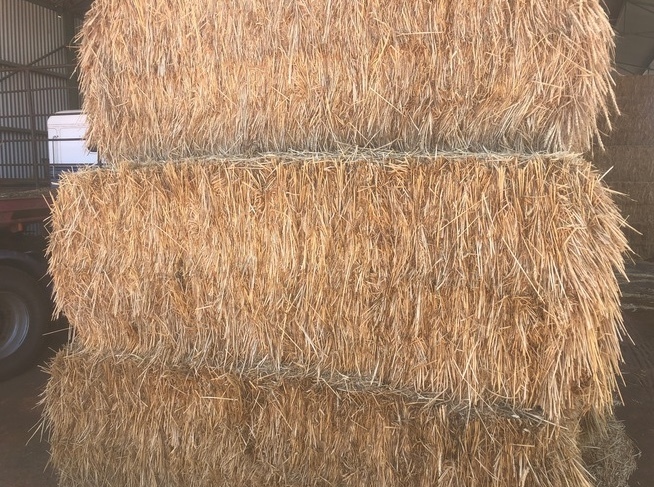 300 x Wheaten Hay 8x4x3 Bales