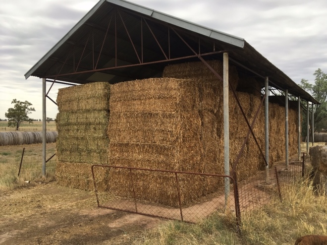 140mt Clover Hay 600kg 8x4x3 Bales