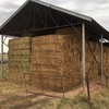 140mt Clover Hay 600kg 8x4x3 Bales