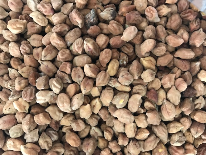 Desi 'Maiden' Chickpeas