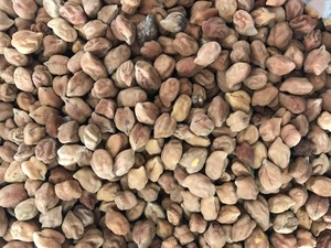 Desi 'Maiden' Chickpeas