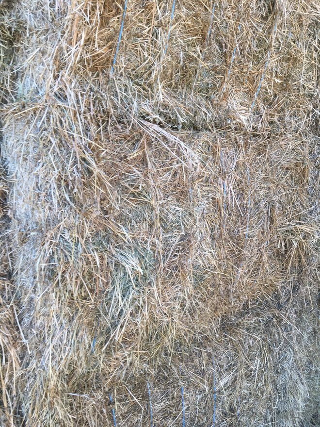 100 x Bales 3rd Cut Lucerne Hay For Sale - No rain 