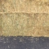 Oaten Hay