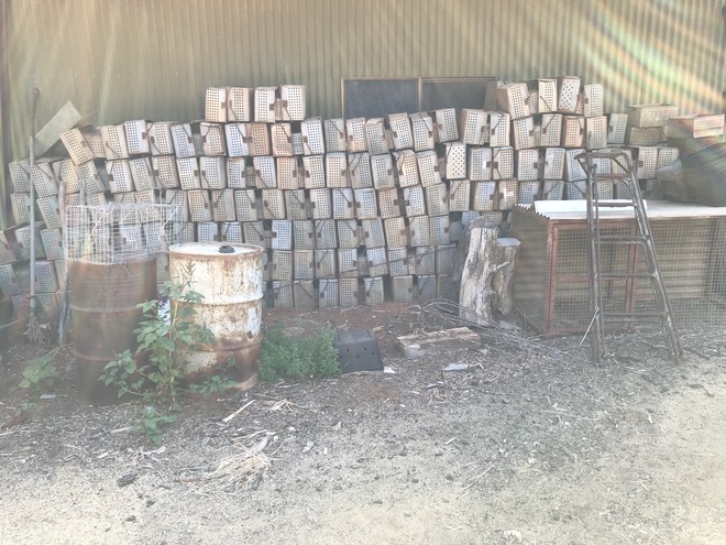 (A134) - Dip Tins (Lot of 9)