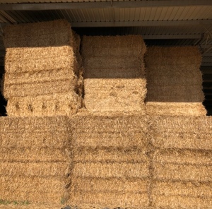 Barley straw