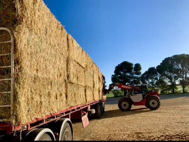 Oats/Vetch Hay 600kg 8x4x3 Bales