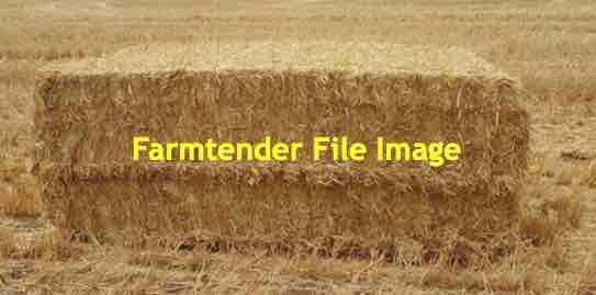 Barley Straw 500kg 8x4x3 Bales