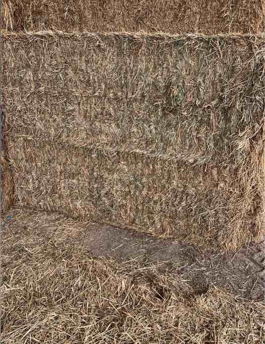 Oaten Hay 8x4x3 bales - Horse quality 