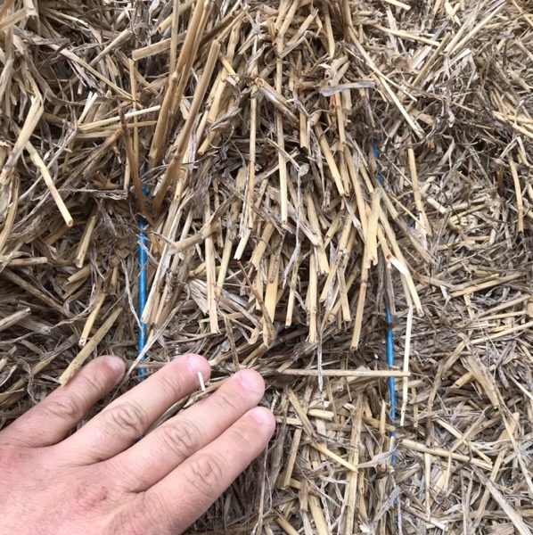 Windrowed wheaten straw For Sale 400kgs