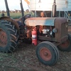 FORDSON MAJOR
