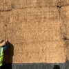 750mt Wheaten Hay 650-680kg 8x4x3 Bales (Delivery Only)