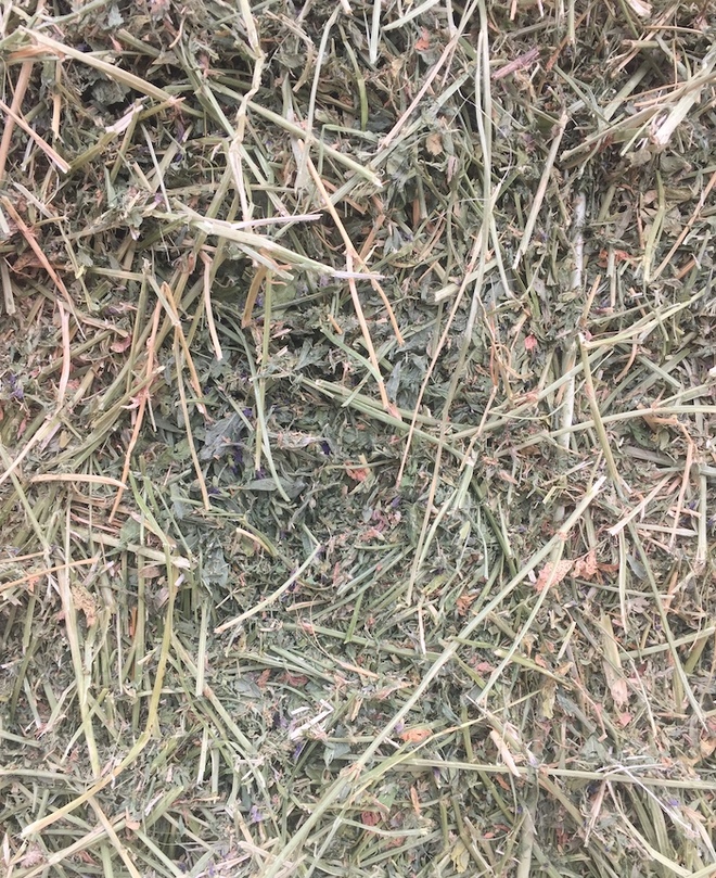 2nd Cut Lucerne Hay off New Stand For Sale