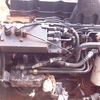 Cummins ISC Diesel Engine