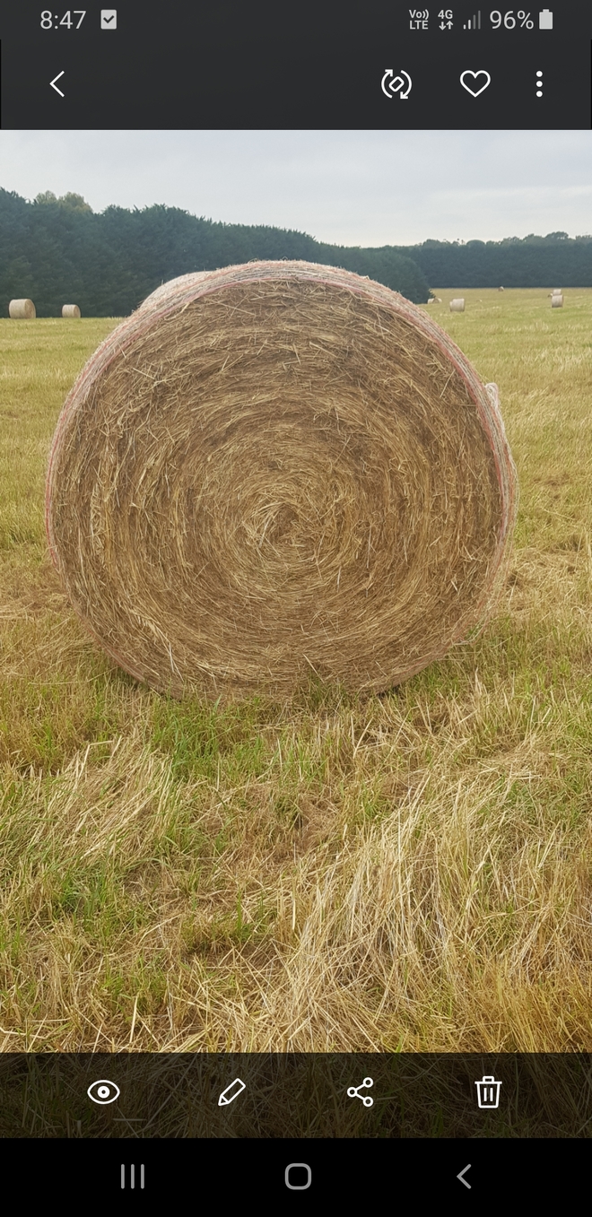 900 x Rye & Clover Hay 5x4 Rolls