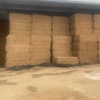 Lucerne/Rye Hay