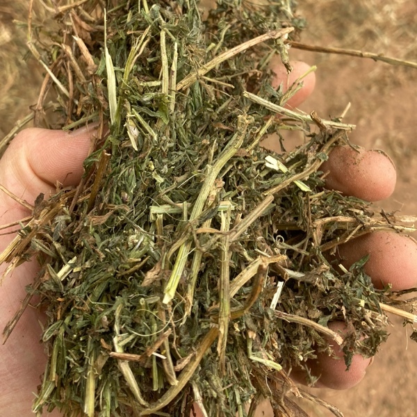 Vetch Hay 670kg 8x4x3 Bales