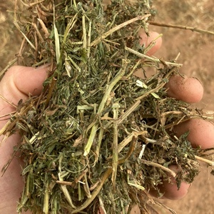 Vetch Hay 670kg 8x4x3 Bales