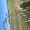 2x Hay Rings