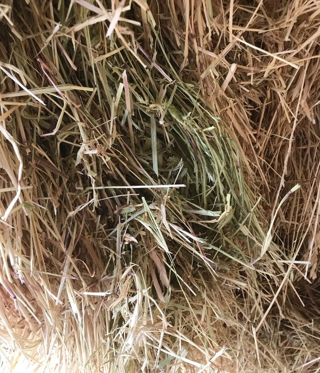 Oaten & Rye Mix Hay 8x4x3 (Shedded)
