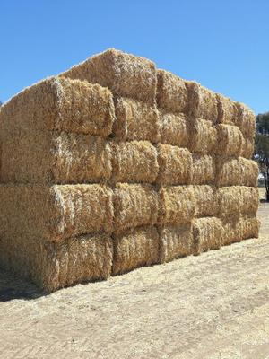 120m/t Oaten Hay 8x4x3 Bales 570Kg's